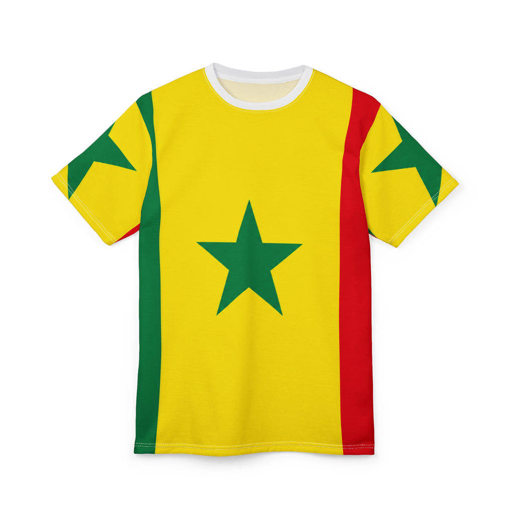Senegal Flag - Senegalese Flag — The Lion of Teranga 🇸🇳