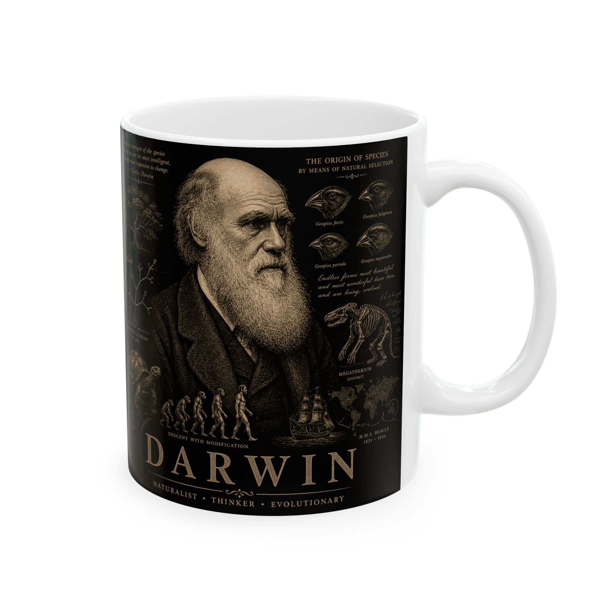 Darwin Ceramic Mug — Vintage Natural History Science Coffee Cup (11oz, 15oz)