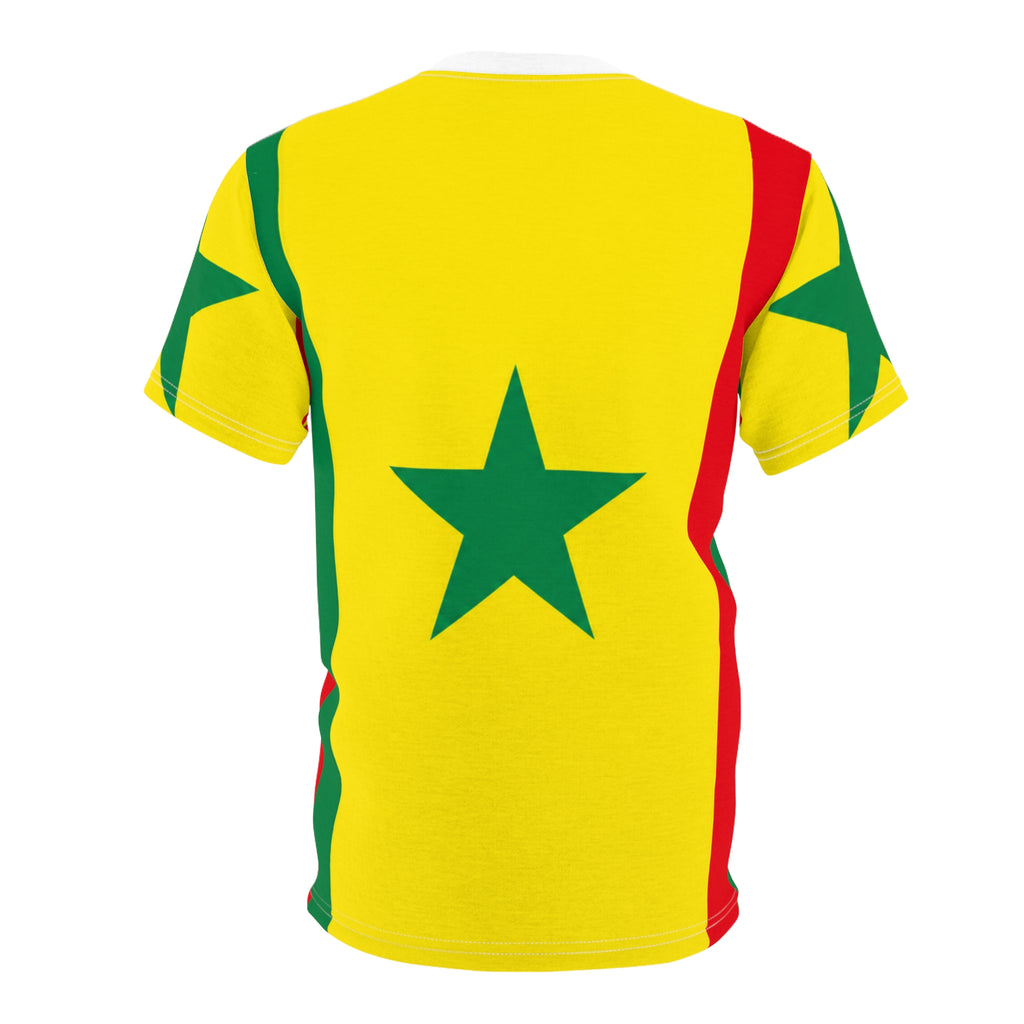 Senegal Flag - Senegalese Flag — The Lion of Teranga 🇸🇳